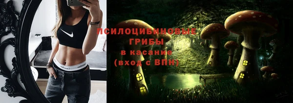 твердый Нея